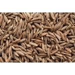Komijnzaad Heel