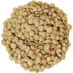 Groene linzen 10x500gr